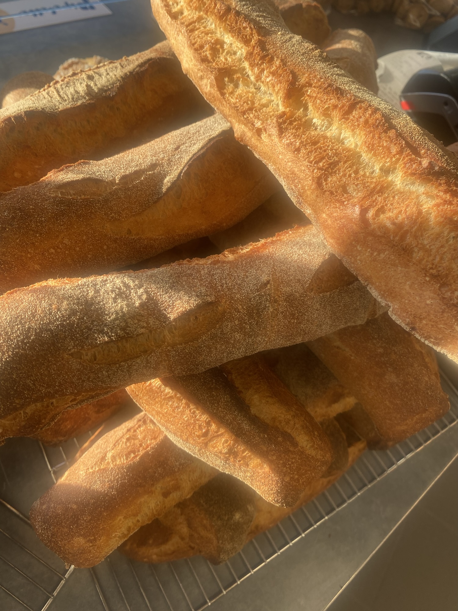 Pour aujourd’hui une pipelette acheter une offerte