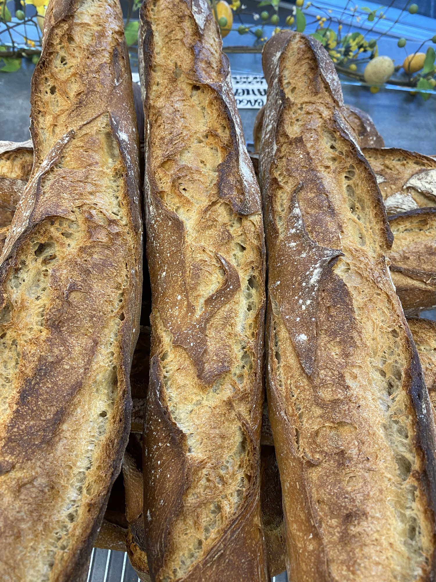 Article sans titre 744