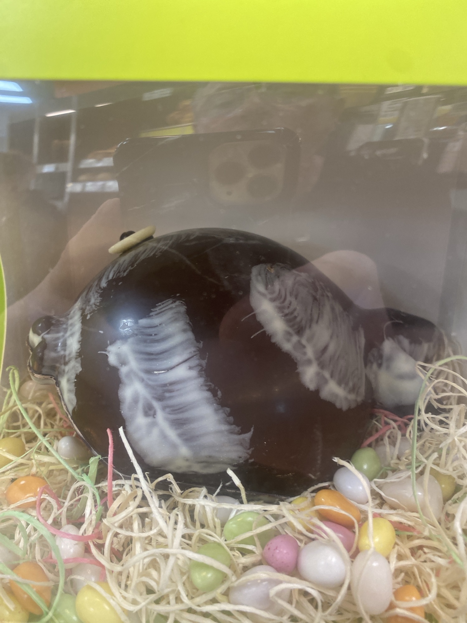 Tous nos chocolats sont a moins de dix euros