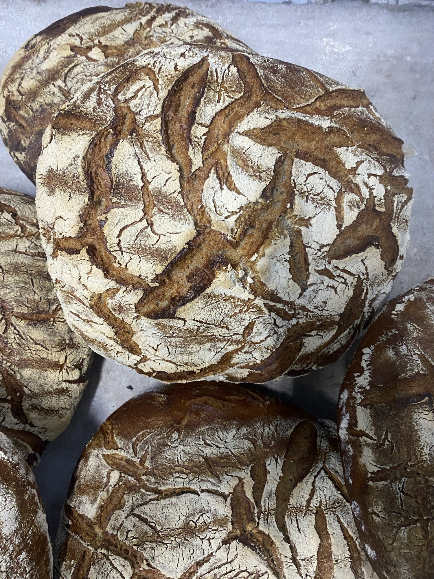 Tourte