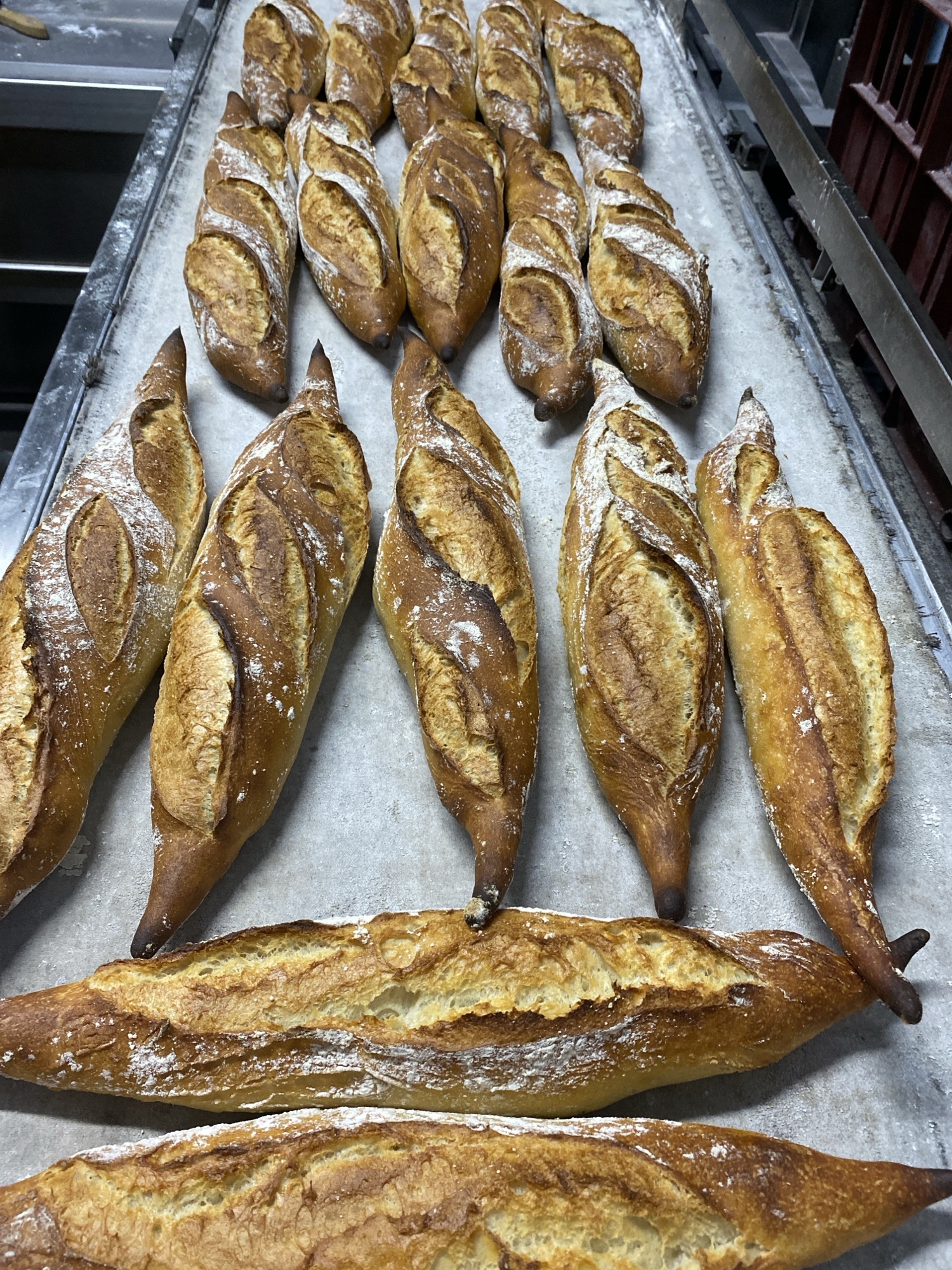 Baguette campagne et levain
